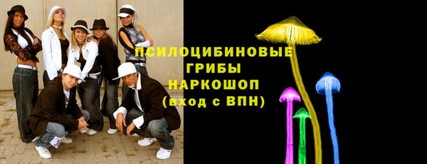 мдпв Липки