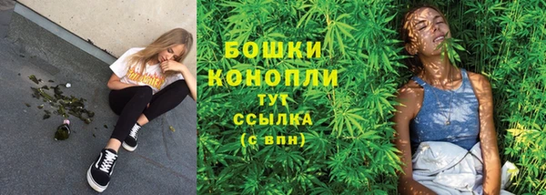 мдпв Липки