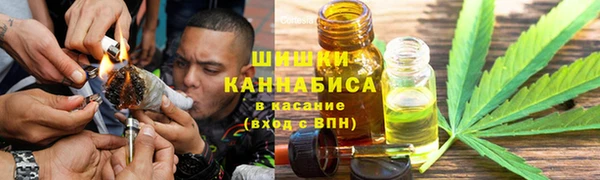 мдпв Липки